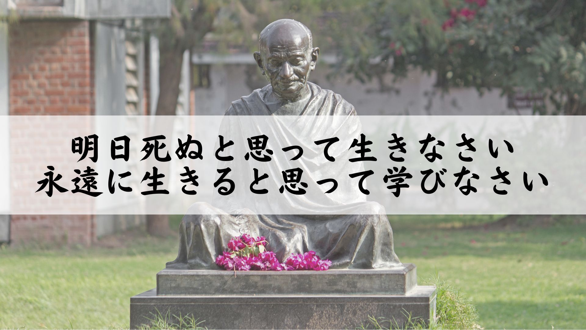 明日死ぬと思って生きなさい、永遠に生きると思って学びなさい - 栄